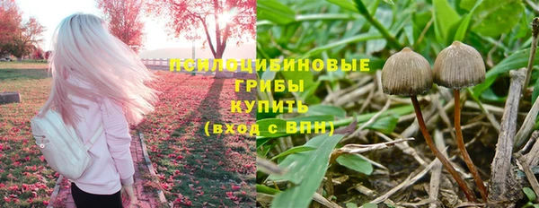 герыч Алзамай