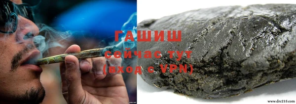 apvp Алексин