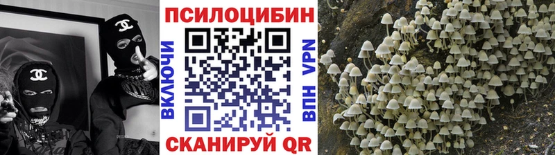 цена   блэк спрут tor  Псилоцибиновые грибы MAGIC MUSHROOMS  Иркутск 